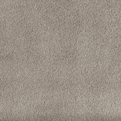 light gray HX3121-15