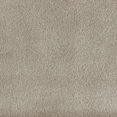 light warm gray HX3121-16