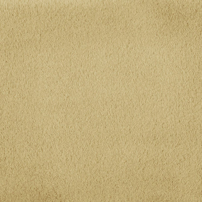 camel HX3121-2
