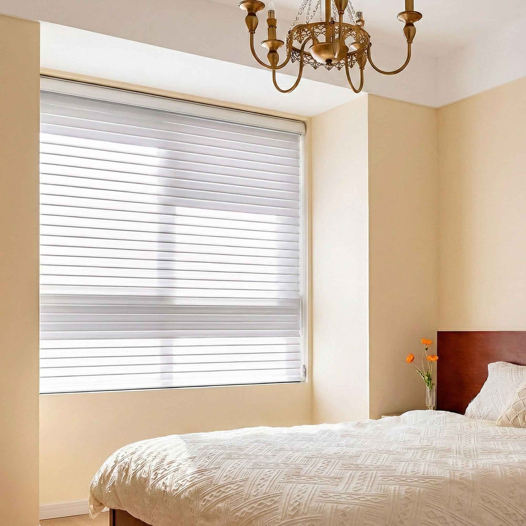X-Dew Corded Blackout Shangri-La Blinds